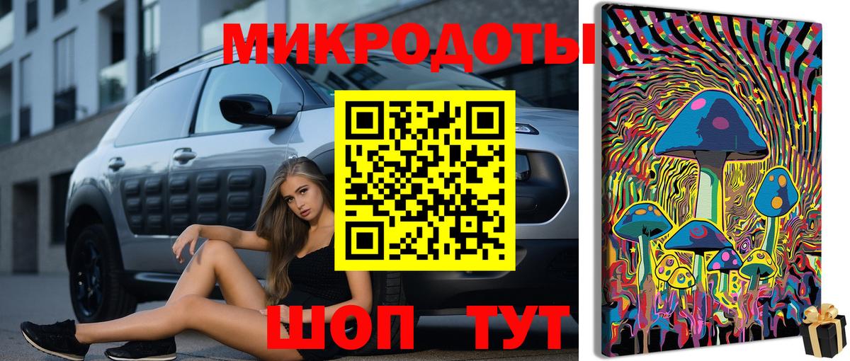 Александров  где можно купить наркотик  Вход с VPN  Псилоцибиновые грибы Psilocybe 