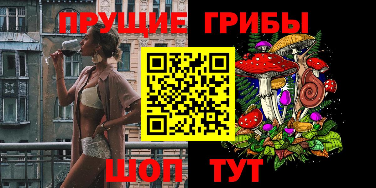 Псилоцибиновые грибы мицелий Александров